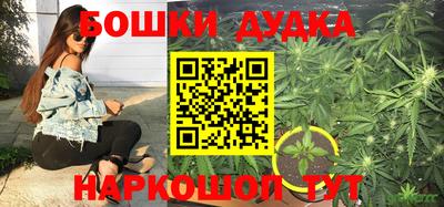 дурь Новокубанск