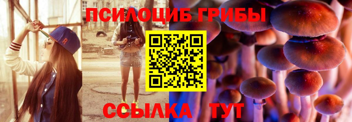 Галлюциногенные грибы ЛСД Видное
